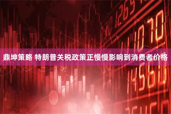 鼎坤策略 特朗普关税政策正慢慢影响到消费者价格