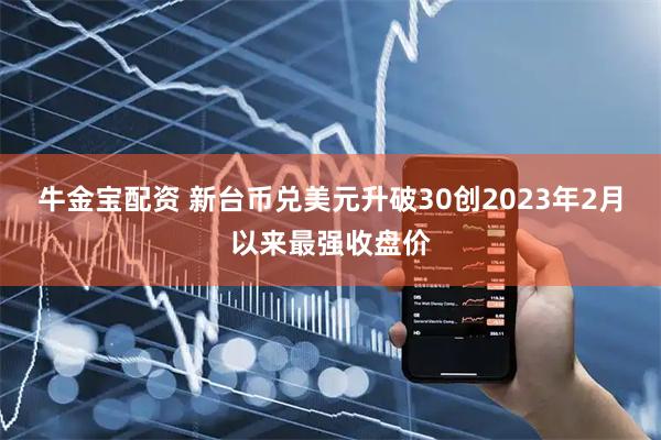 牛金宝配资 新台币兑美元升破30创2023年2月以来最强收盘价