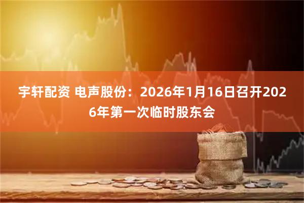 宇轩配资 电声股份：2026年1月16日召开2026年第一次临时股东会